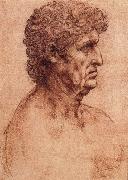 LEONARDO da Vinci Profile of an old man oil painting reproduction